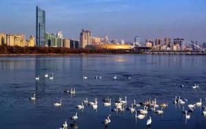 三門峽又一網(wǎng)紅景點，確定不來pick一下？