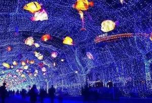 【三門(mén)峽國(guó)際光影藝術(shù)節(jié)】家門(mén)口的雜技表演和燈光秀，精彩不容錯(cuò)過(guò)！